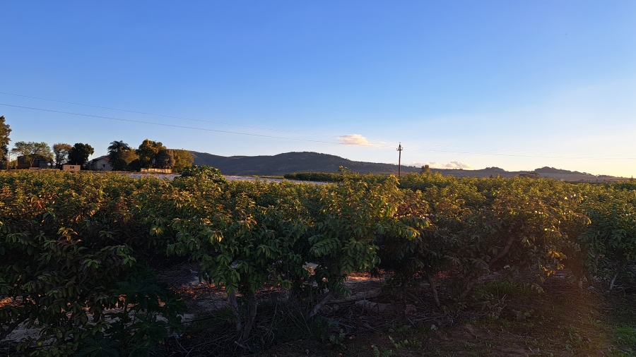 4 Bedroom Property for Sale in Paarl Rural Western Cape